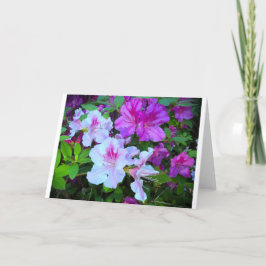 Azalea, Cartão