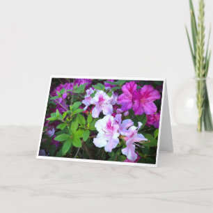 Azalea, cartão