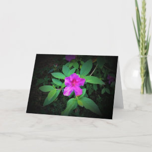 Azalea, cartão