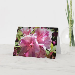 Azalea, cartão