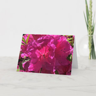 Azalea, cartão