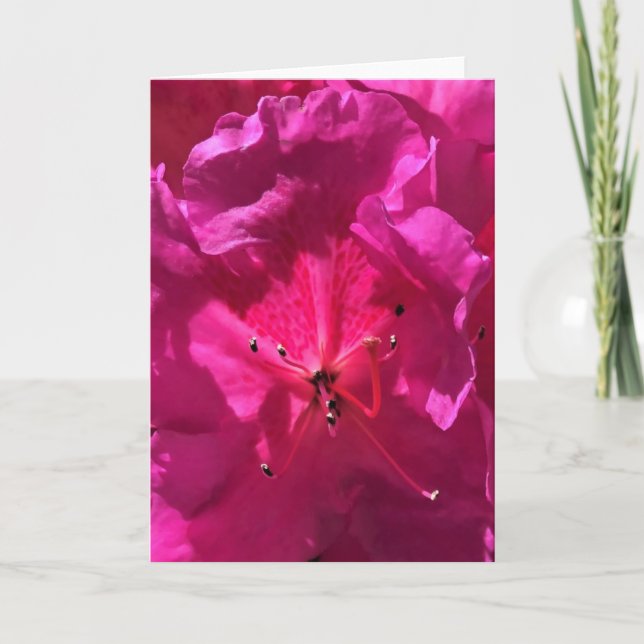 Azalea, cartão (Frente)