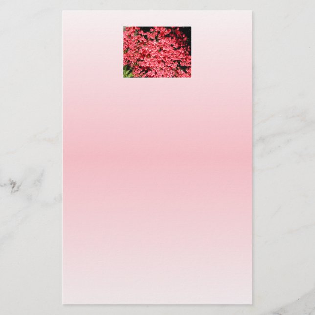 Azaleas. Flores bonito Rosa. (Frente)