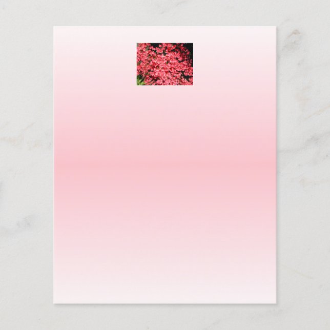 Azaleas. Flores bonito Rosa. (Frente)