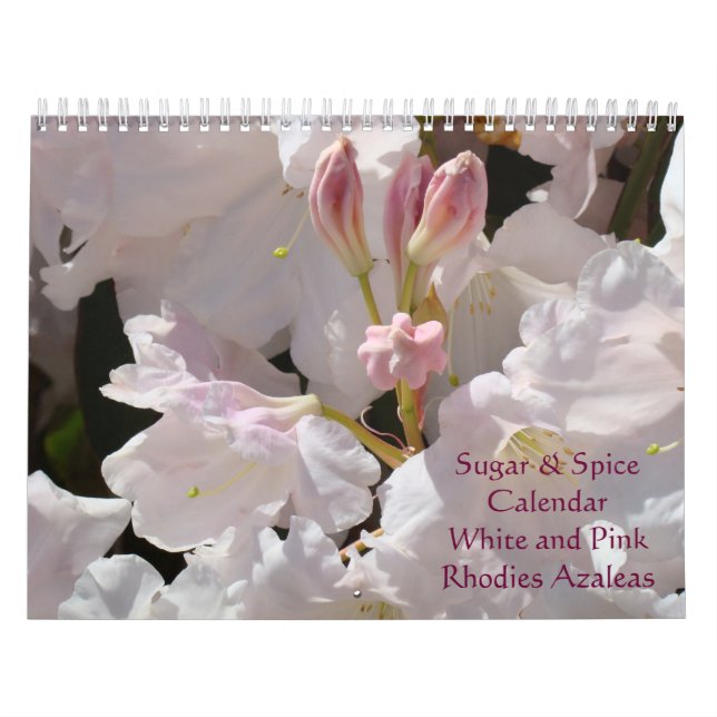 Azáleas Rhodies Calendário Açúcar & Temperos Rosa  (Capa)