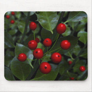 Azevinho Mousepad