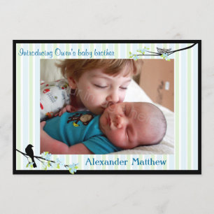 Azuis do anúncio do nascimento do pássaro e da