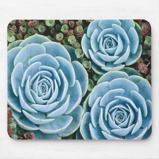 Azuis empoeirados Mousepad (Frente)