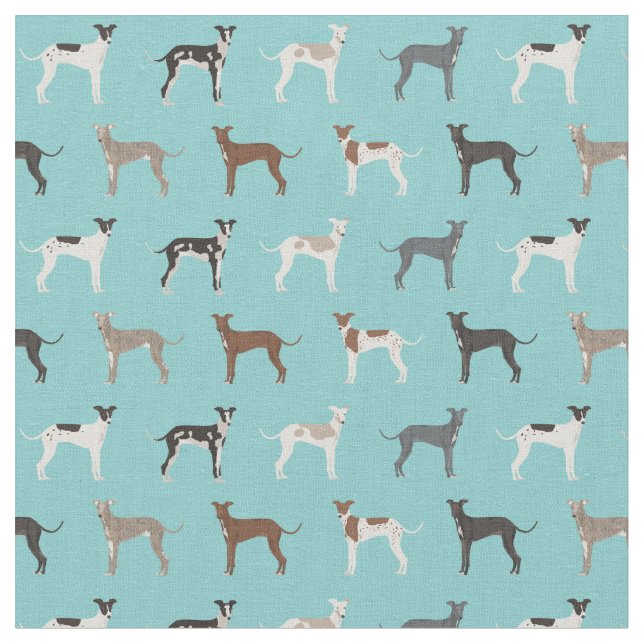 azul-claro tecido de galgos italianos (Detalhe)