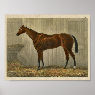 Azul Cown do impressão 1873 do cavalo do vintage