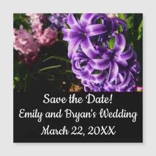 Azul Hyacinth II Primavera Floral