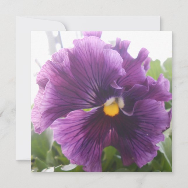 Azul mecanizado (Frente)