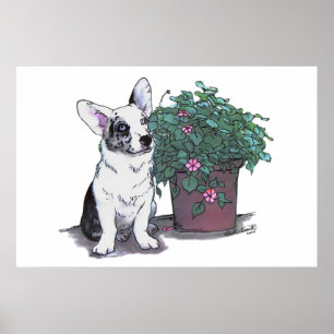 Azul Merle do ~ do impressão do Corgi de Galês d