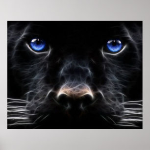 Azul Mystical poster Eyed do gato