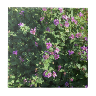 Azulejo (4,25" x 4,25")