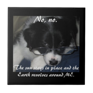 azulejo "A Terra Revolta-Me Em Volta"