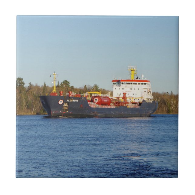 Azulejo Algonova (Frente)