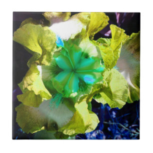 Azulejo amarelo, branco e verde Iris Flor