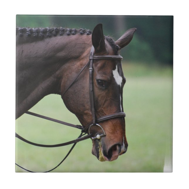 Azulejo árabe doce do cavalo (Frente)