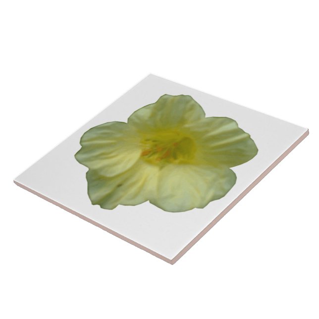 Azulejo bonito Nasturtium (Lateral)