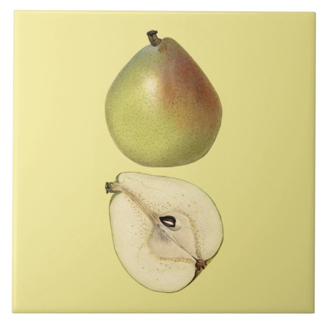 Azulejo Botânico Anjou Pear ~ Cozinha ~ Qualquer C (Frente)