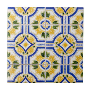 azulejo brilhante, Portugal