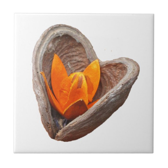 Azulejo Cardíaco Blooming (Frente)