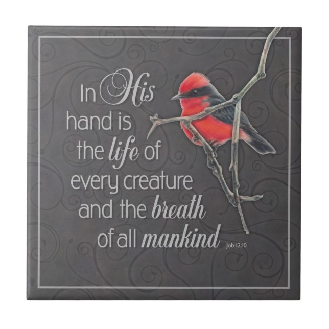 Azulejo cardinal (Frente)