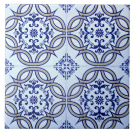 Azulejo cerâmico azul & branco espanhol da foto