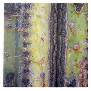 Azulejo cerâmico Cactus Macro