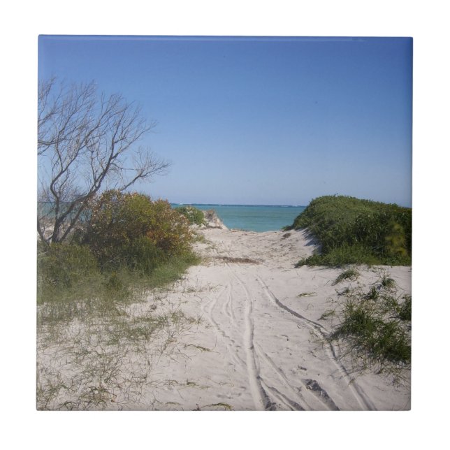 Azulejo cerâmico Cervantes WA (Frente)