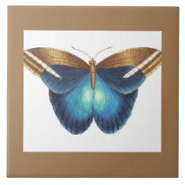 azulejo cerâmico com borboleta