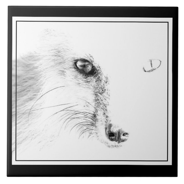 Azulejo Cerâmico com Cara de Raposa (Frente)