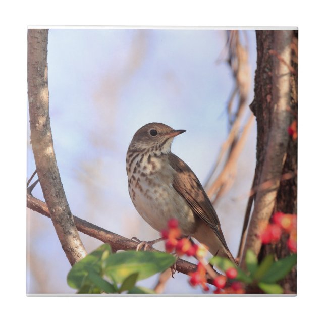 Azulejo cerâmico com fotografia de creme (Frente)