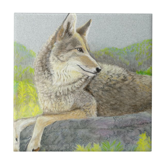 Azulejo Cerâmico Coyote (Frente)