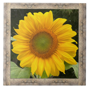 azulejo cerâmico de 6"x 6" com girassol amarelo al