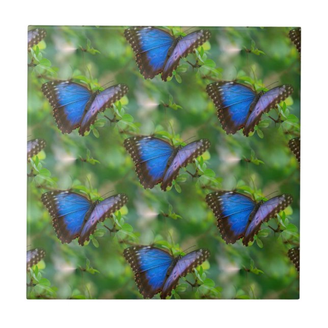 Azulejo cerâmico de borboleta azul (Frente)