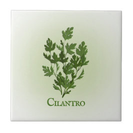 Azulejo cerâmico de Design de plantas Cilantro