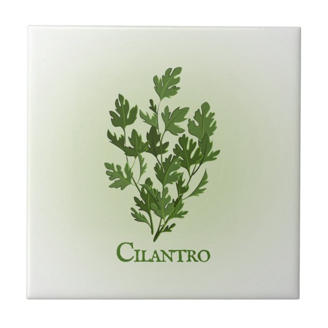 Azulejo cerâmico de Design de plantas Cilantro (Frente)