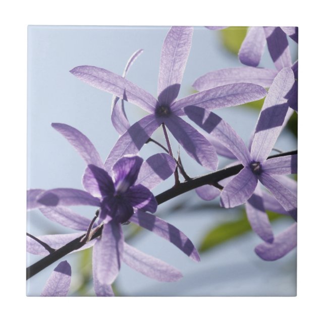 Azulejo cerâmico de Flor Roxo (Frente)