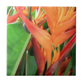 Azulejo cerâmico de flores do Havaí