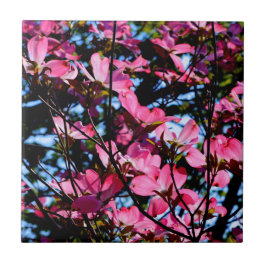 Azulejo cerâmico de madeira de madeira de madeira,