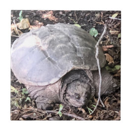 Azulejo cerâmico de tartaruga