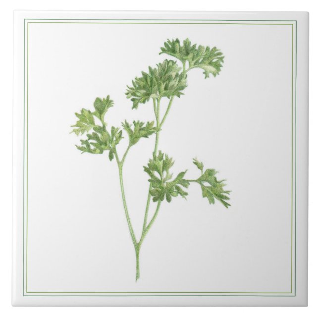 Azulejo cerâmico FRESH PARSLEY 6x6 (-text) (Frente)