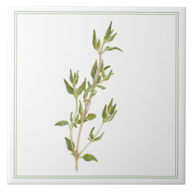 Azulejo cerâmico FRESH THYME 6x6 (-text) (Frente)