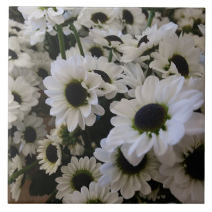 Azulejo cerâmico - margarida negra e branca