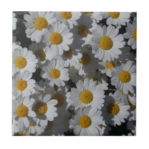 Azulejo cerâmico White Daisies