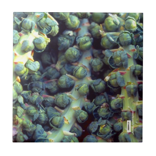 Azulejo comida (Frente)