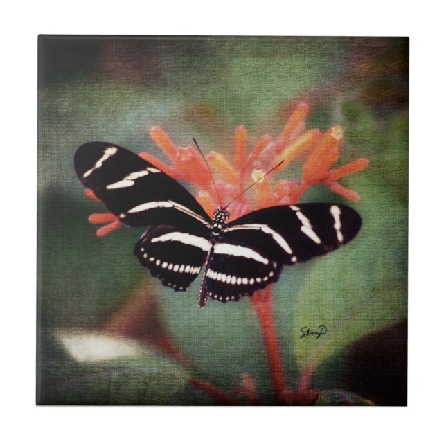 Azulejo da borboleta (Frente)