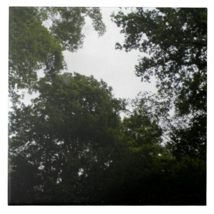 Azulejo da Floresta Assustadora